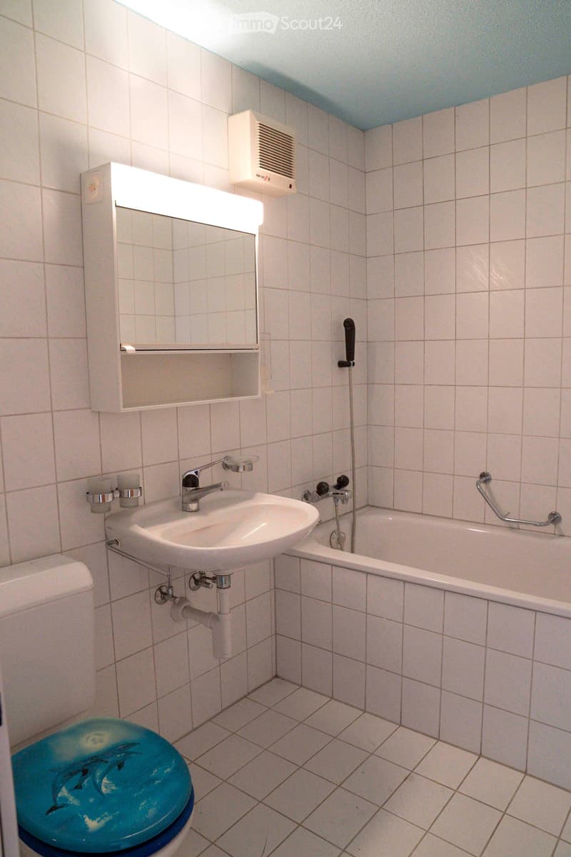 Tiled walls and floor, mirror, bathtub with handrail, sink with faucet, blue toilet with dolphins design