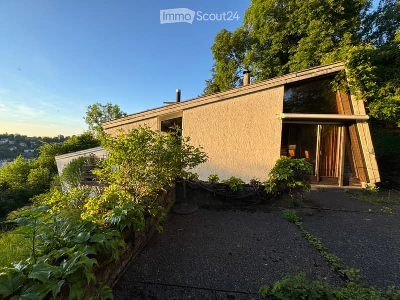 Modern single-story house with a flat roof, large windows, and a small garden area.