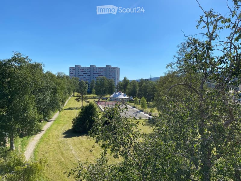 Green garden with wide lawn and trees, tennis court, residential building in the background