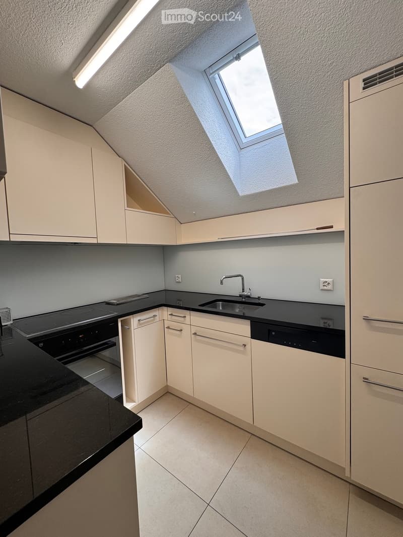 Modern kitchen with white cabinets, black countertops, and built-in appliances including a sink, oven, and dishwasher. Features a skylight window and sleek design.