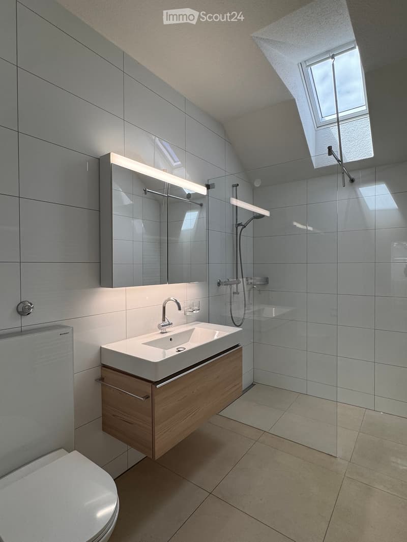 Modern bathroom with a white sink, wooden cabinet, mirror, toilet, and a glass-enclosed shower area. Natural light from skylights illuminates the space.