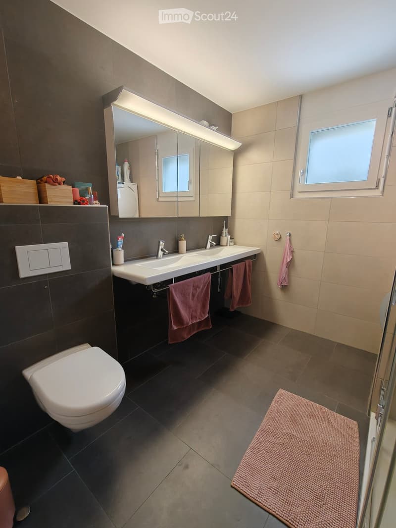 Modern bathroom with dark tiled walls, a double sink, a large mirror with built-in cabinets, a toilet, and a pink bath rug. The room features a window and several towels hanging on racks.