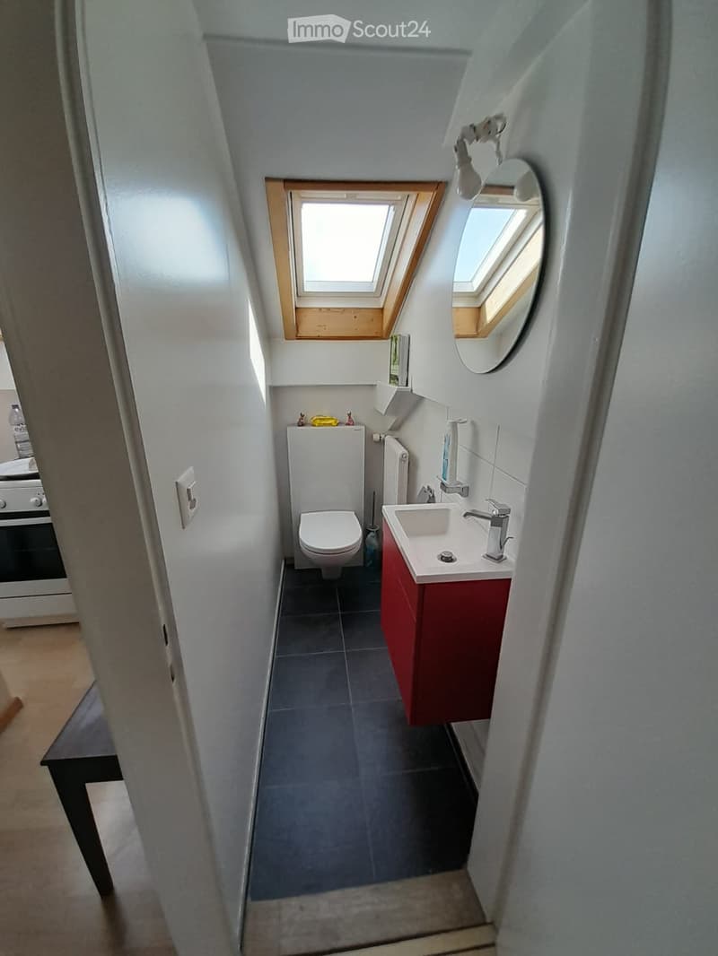 Modern bathroom with a toilet, sink, red cabinet, mirror, and radiator. The room features a skylight window and tiled flooring.