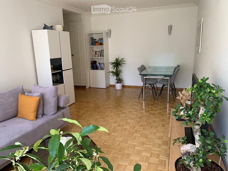 Modern living room with a grey sofa, coffee table, dining table with chairs, bookshelf, and several potted plants.
