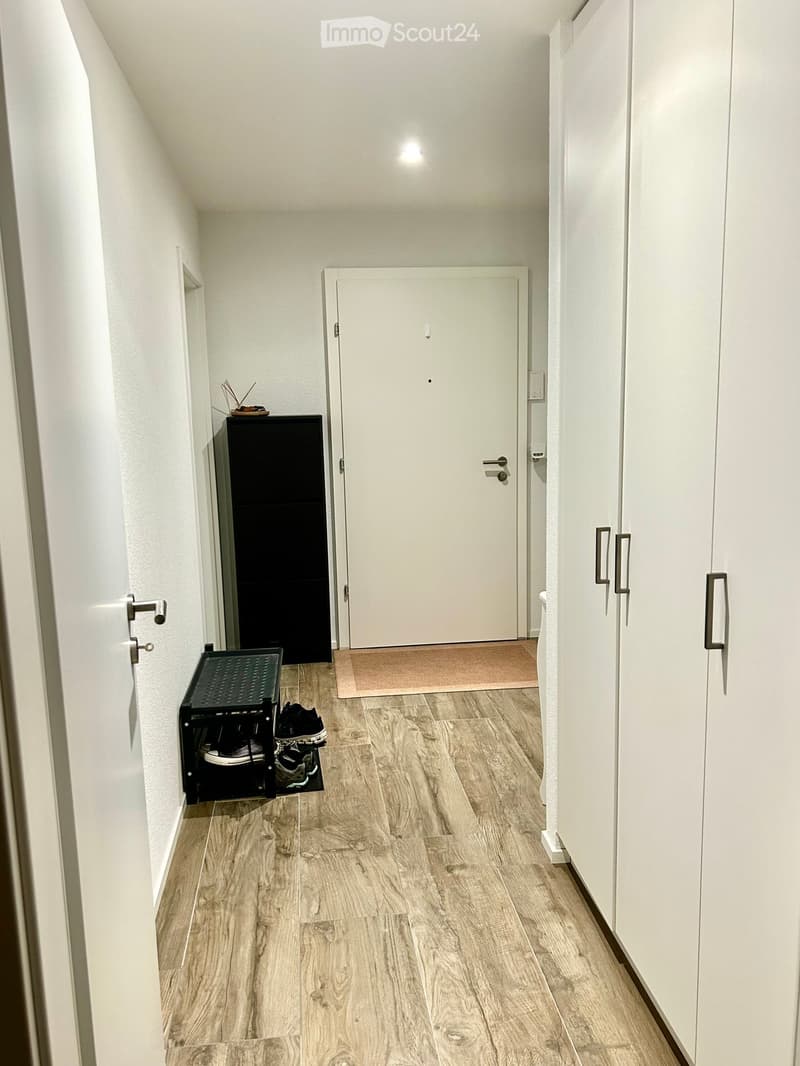 A narrow hallway with wooden flooring, white walls, and a closed door at the end. A small black bench with shoes and a small black cabinet with decorative items are visible on the left side.