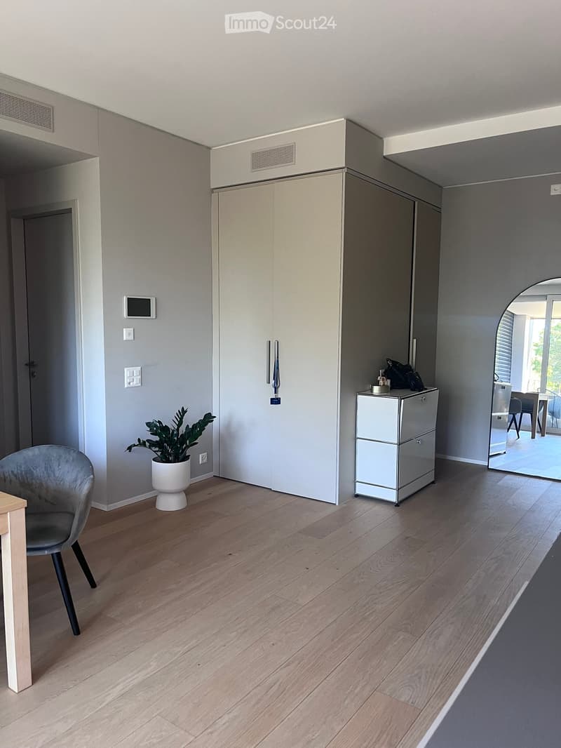 Modern, minimalist room with light wooden flooring, grey walls, a grey chair, a small table, a potted plant, a large white cabinet, and a mirrored cabinet with items on top.