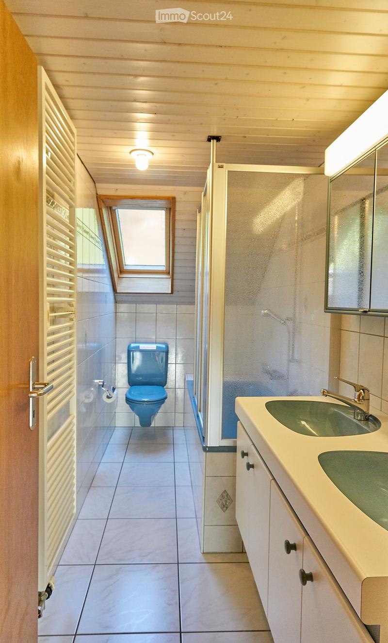 Modern bathroom with blue toilet, double sink, and mirrored cabinet. Features tiled walls and floor, wooden door, and skylight window.