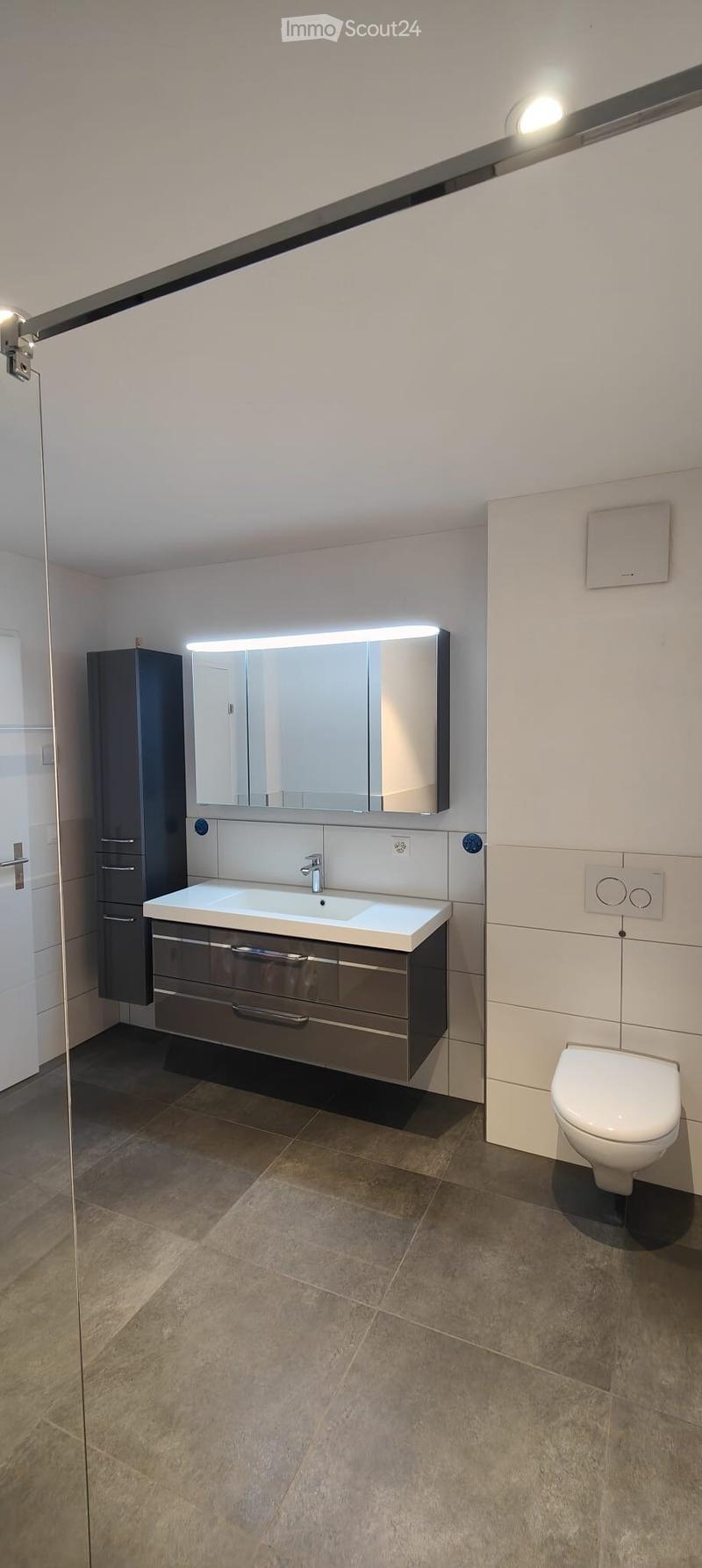 modern bathroom, white tiles, gray cabinets, silver sink, silver faucet, white toilet