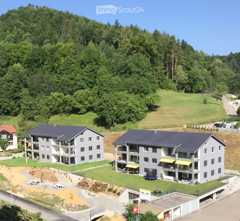 2 buildings, 2 car in driveway, parking lot, road, green lawn, trees