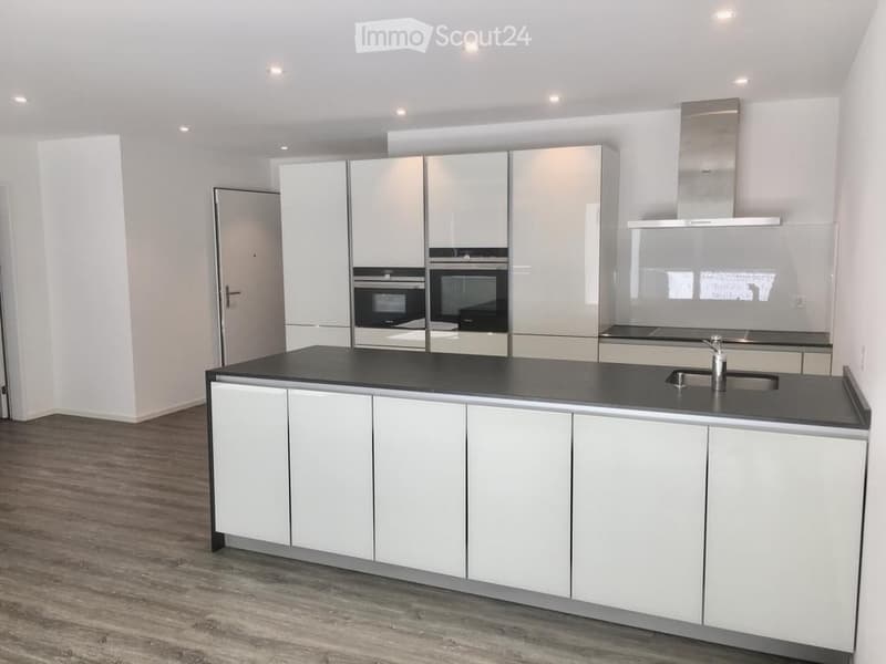 modern kitchen, white cabinets, black countertop, glass sink, integrated appliances, wooden floor