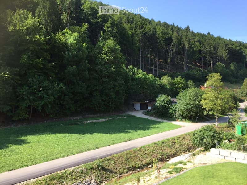 green area with a house and garage, sloped forest, paved driveway, grass lawns