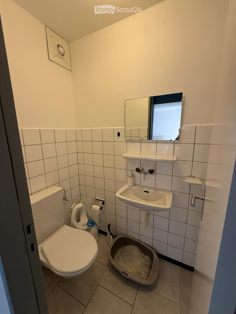 Small bathroom with white tiled walls, a toilet, a sink with a mirror above it, a cat litter box, and a shelf for toiletries.