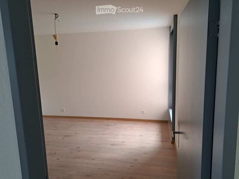 Empty hallway with wooden flooring, white walls, and a single hanging light fixture.