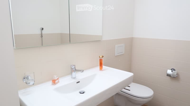 Modern bathroom with a white sink, chrome faucet, toilet, and a large mirror above the sink. A small glass and perfume bottle are placed on the sink counter.