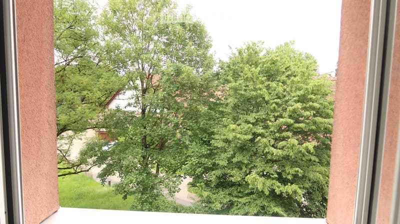 View from a balcony showing lush green trees and a residential area with houses and a driveway.