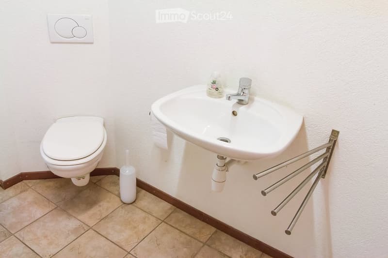 A small bathroom with a white toilet, a white sink with a chrome faucet, a toilet brush holder, and a towel rack on the wall.