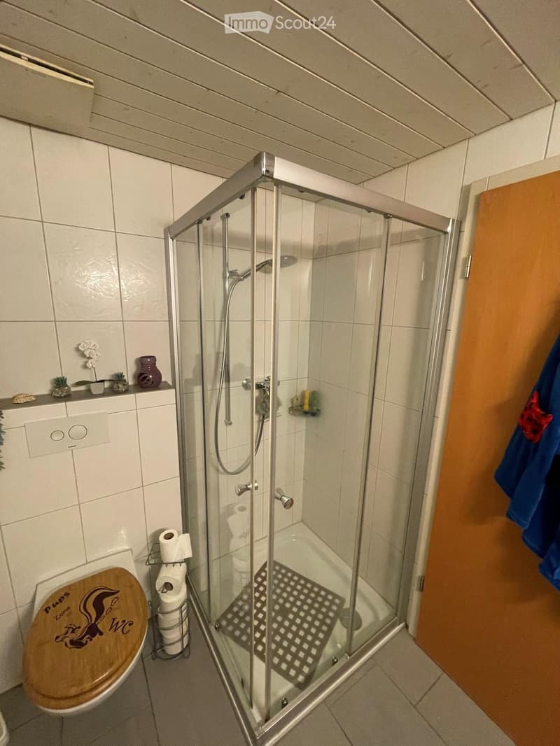 Modern bathroom with a glass-enclosed shower, toilet, and small shelf with decorative items.