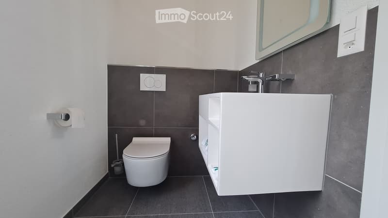 Modern bathroom with dark grey tiles, white toilet, integrated sink, and a large mirror above the sink.