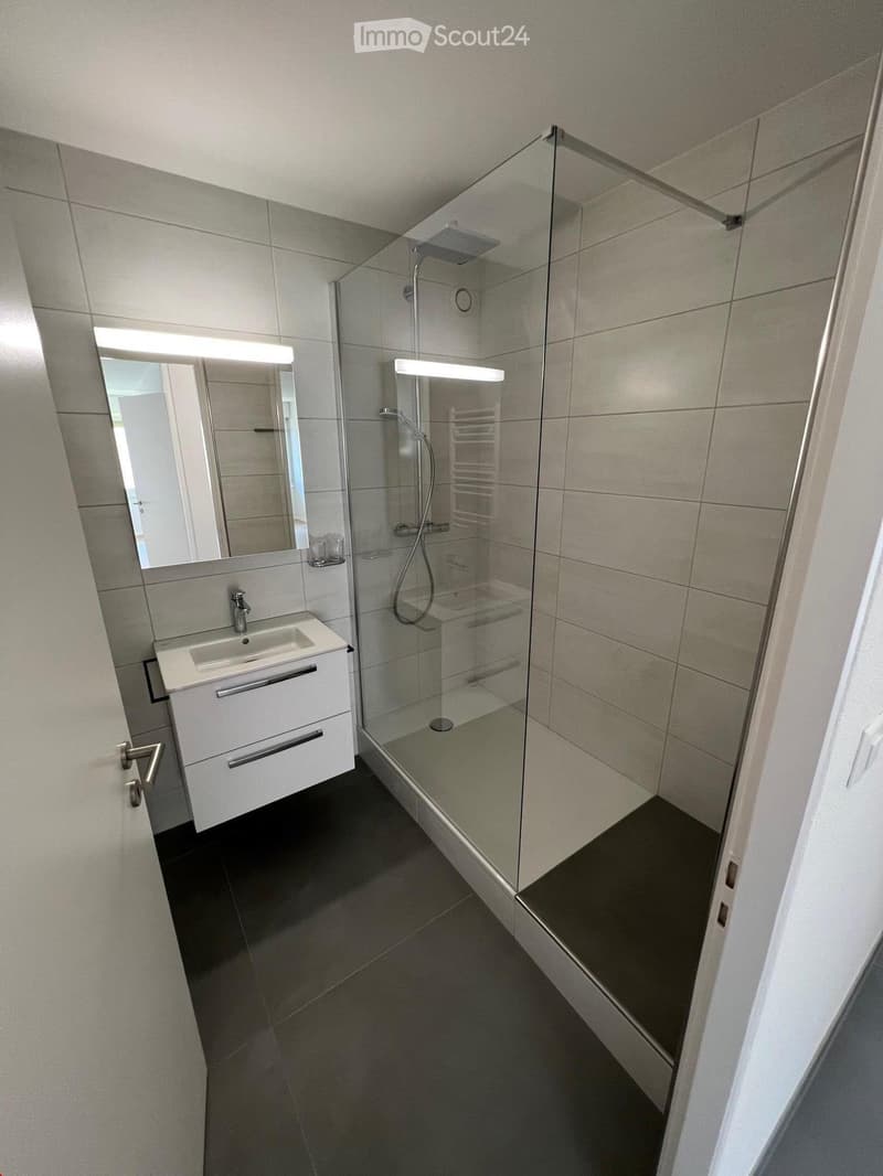 Modern bathroom with a white sink, mirror, and glass-enclosed shower area. Features a sleek design with grey tiles and a dark floor.