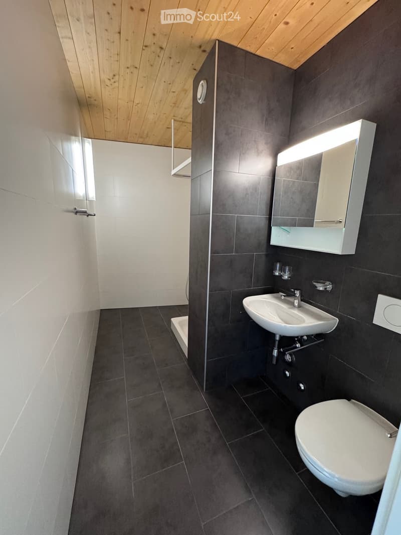 Modern bathroom with dark tiled walls and floor, white sink, toilet, and mirrored cabinet with built-in lighting.