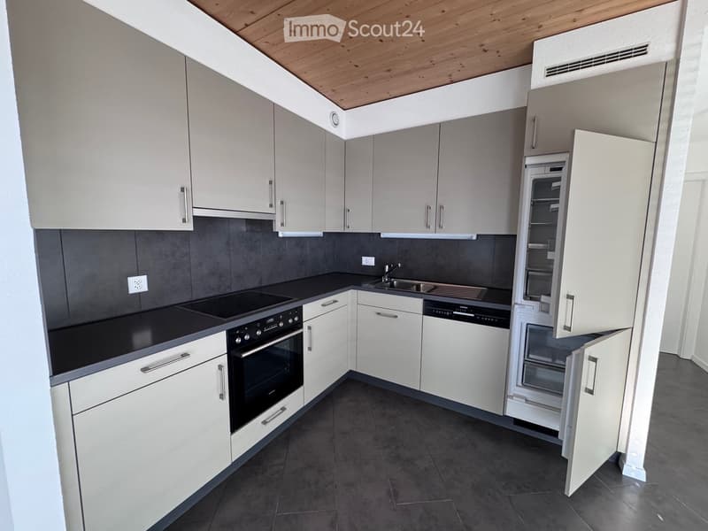 Modern kitchen with white cabinets, black countertops, stainless steel appliances including a refrigerator, oven, and dishwasher, and a wooden ceiling.