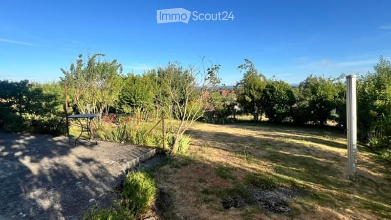 Garden area with a small table, surrounded by trees and shrubs, with a gravel path and a clear blue sky.