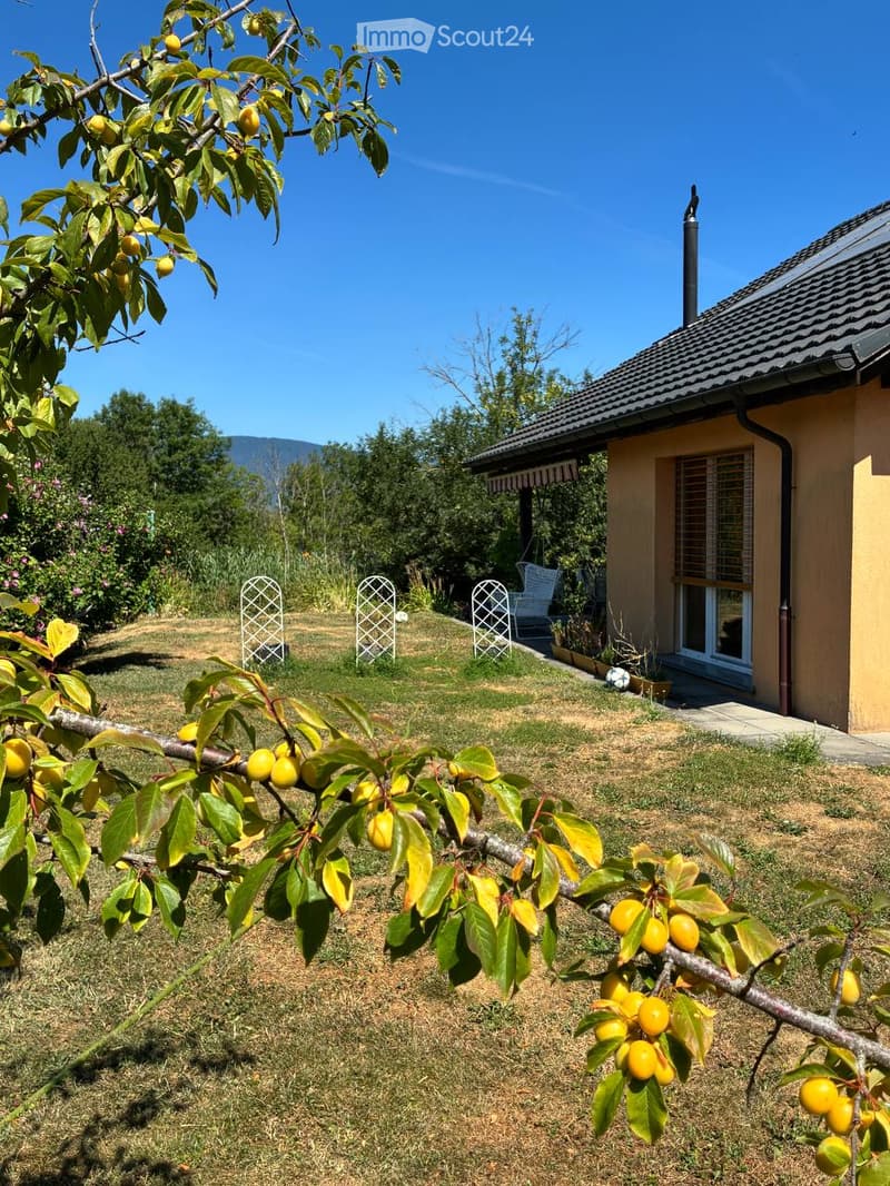 Garden with a fruit tree bearing yellow fruit, a small house with a covered porch, and decorative white lattice structures.