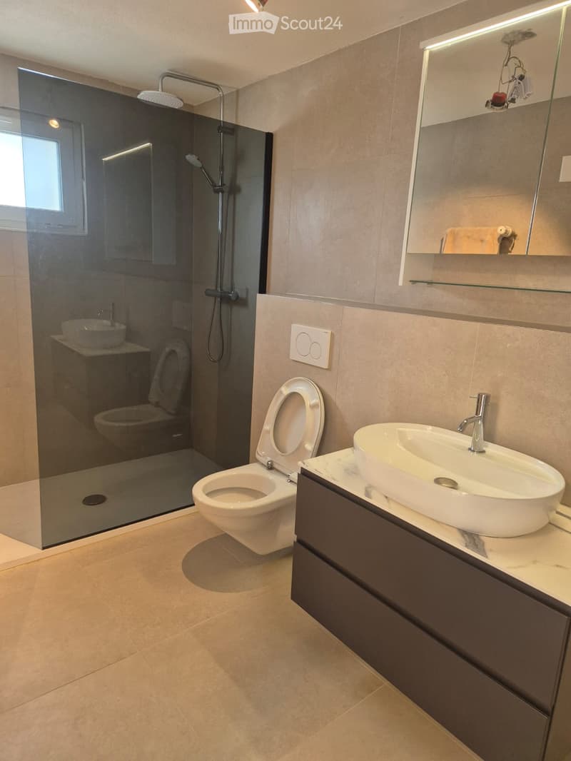 modern bathroom with walk-in shower, toilet, sink, and mirror