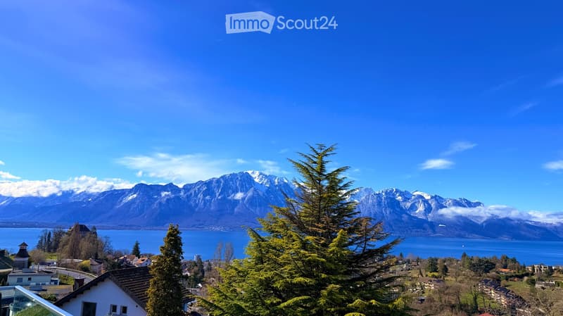 Panoramic view of a town with snow-capped mountains and a lake in the background, surrounded by trees and houses.