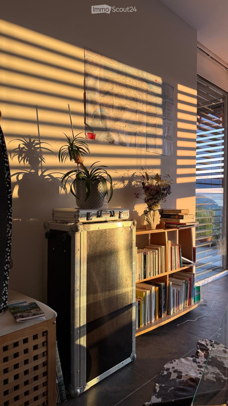 A cozy, well-lit room with a bookshelf filled with books, a potted plant, a decorative vase, a suitcase, and a map on the wall. The room features a dark floor and a cushion on the floor.