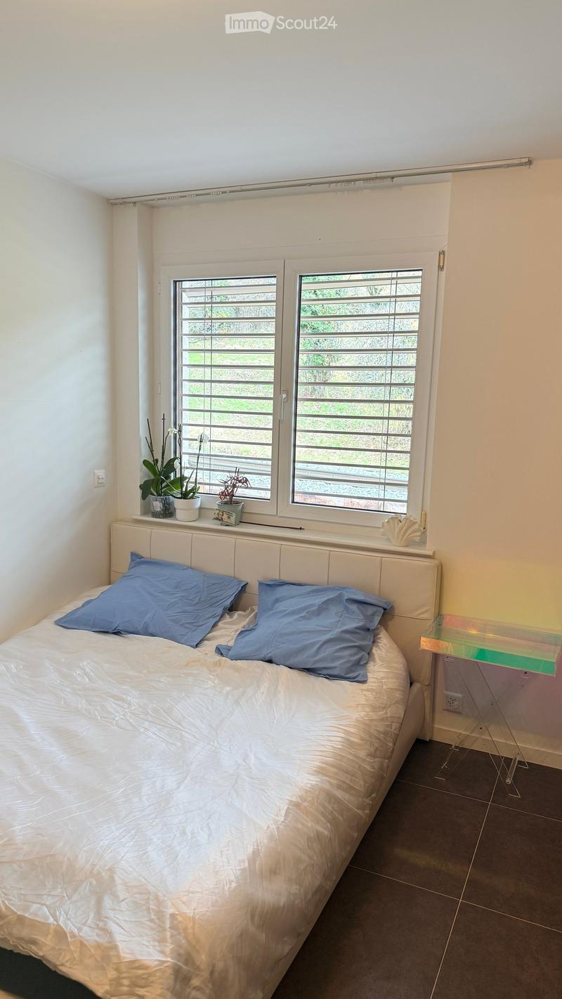 Modern bedroom with a large bed, blue pillows, a white headboard, and a small glass nightstand. Potted plants are placed on the windowsill.