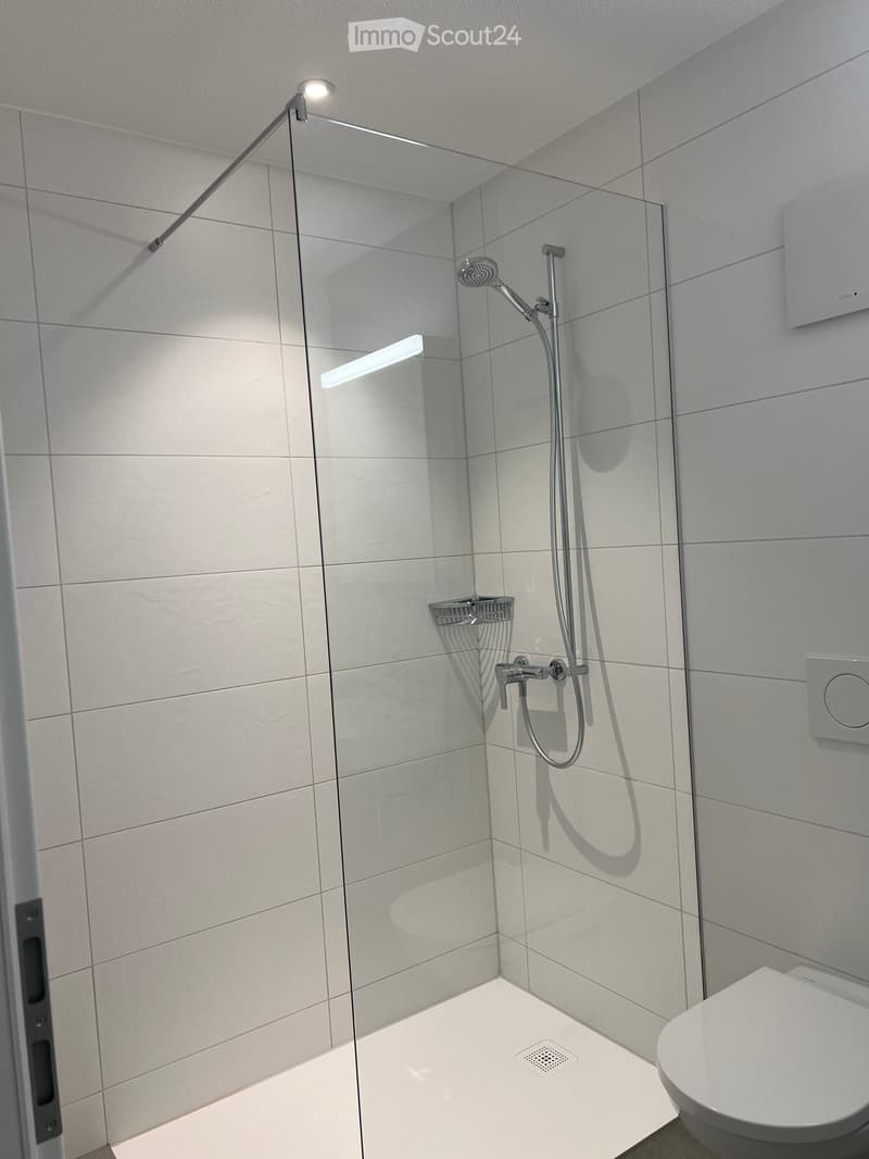 Modern bathroom with a glass-enclosed shower, a toilet, and a sleek showerhead with a handheld sprayer. The shower area features a white tiled floor and walls.