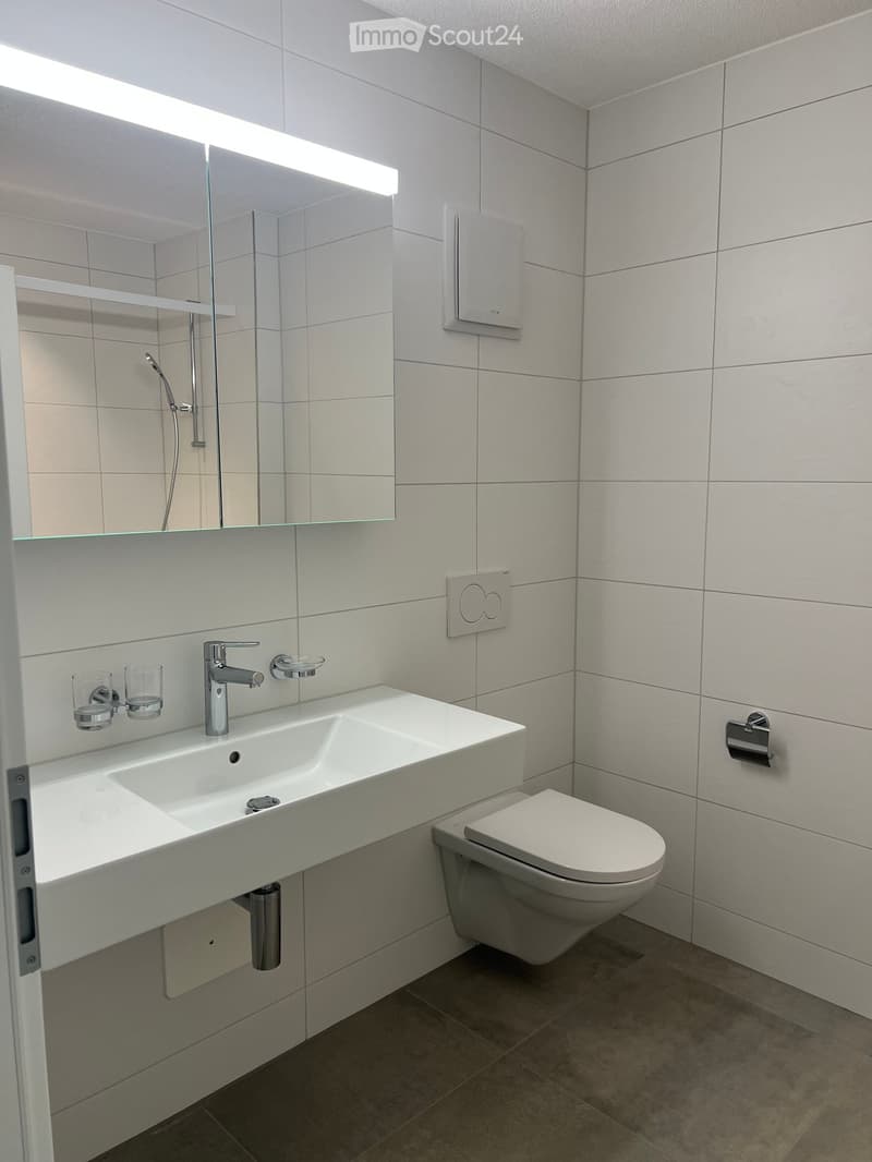 Modern bathroom with white tiles, a large sink, a toilet, a mirror, and a shower area.