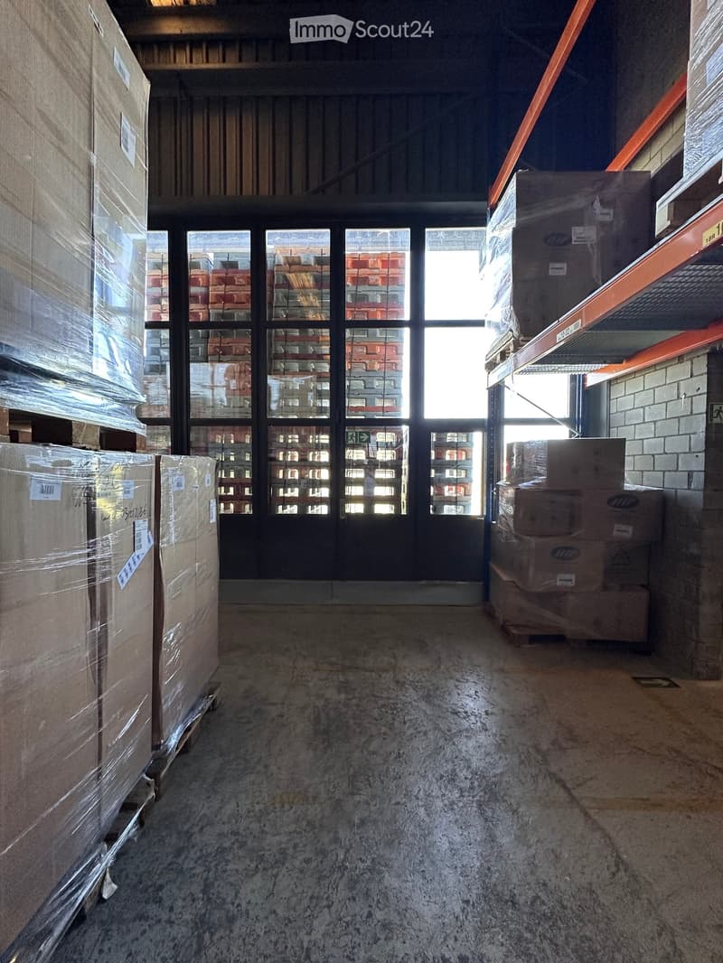 Empty warehouse space with concrete floors, large windows, and stacks of cardboard boxes wrapped in plastic on both sides.