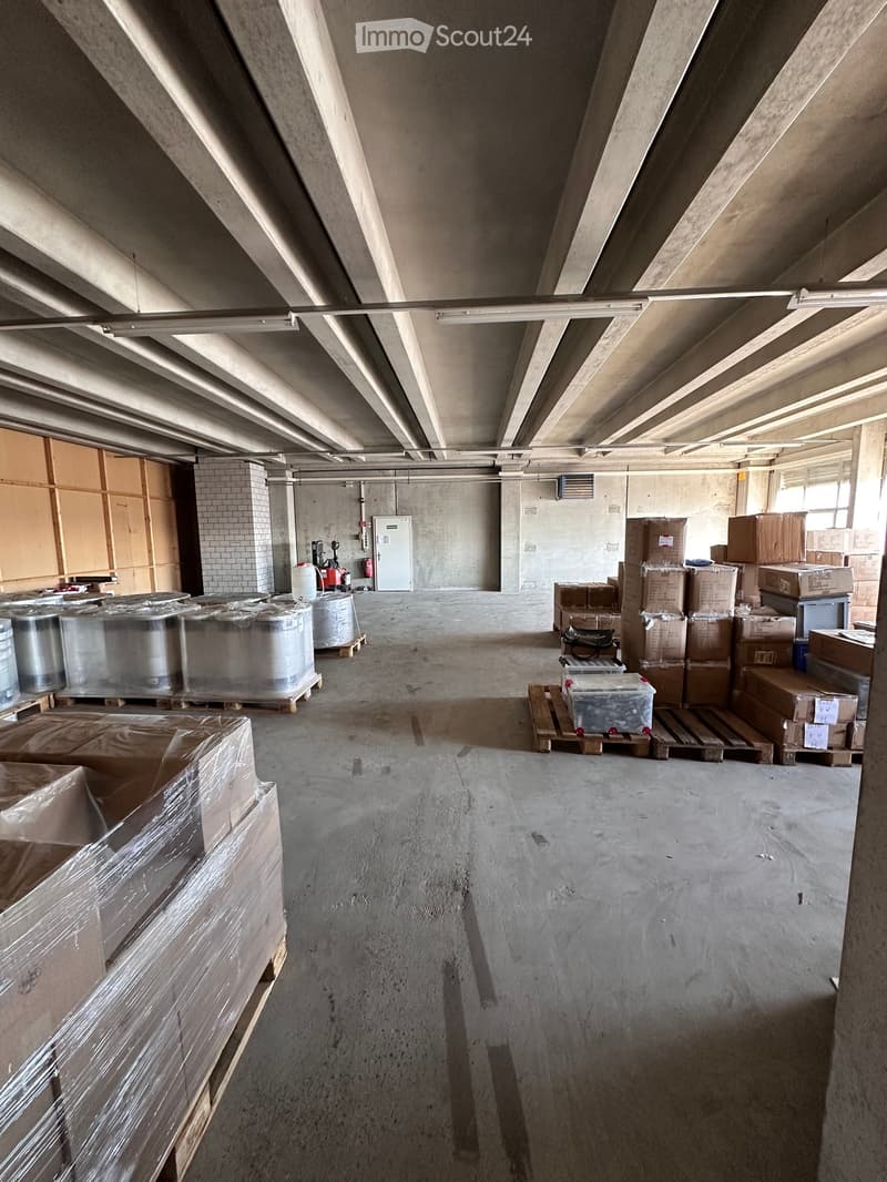 Empty warehouse space with concrete floors and walls, exposed ceiling beams, and scattered storage items including cardboard boxes, barrels, and pallets.