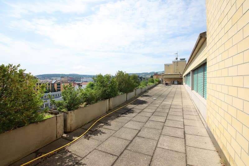 Roof terrace with paved concrete floor, low concrete walls, small green bushes, and a view of the city and surrounding landscape.