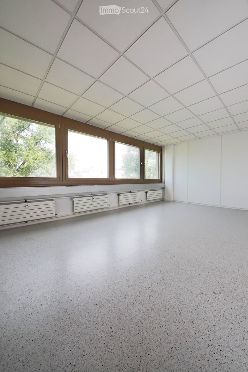 Empty room with white walls, large windows, geometric ceiling, and a smooth concrete floor.