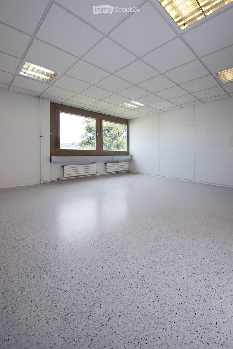 Empty room with white walls, grey speckled floor, large window with brown frame, and white radiator below it.