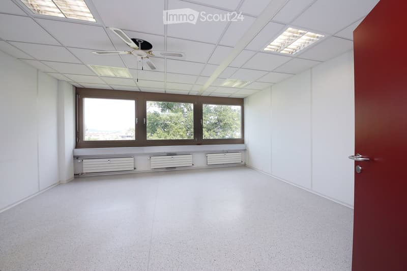 Empty room with white walls, a ceiling fan, large windows, and radiators along the wall.
