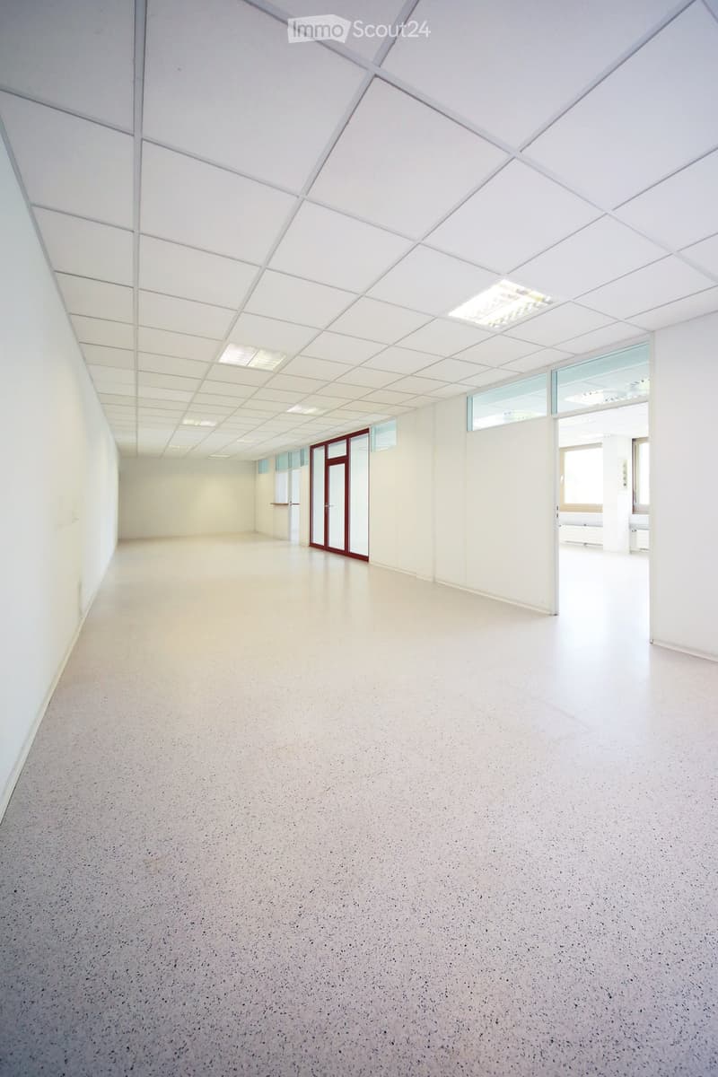 Empty room with white walls, a geometric white ceiling, and a smooth concrete floor. Features include a red-framed glass door and large windows allowing natural light.