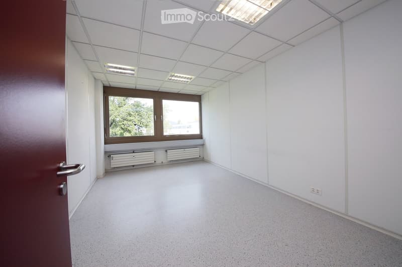Empty room with white walls, a large window, and a door. The space features a tiled ceiling with integrated lighting and a smooth, light-colored floor.
