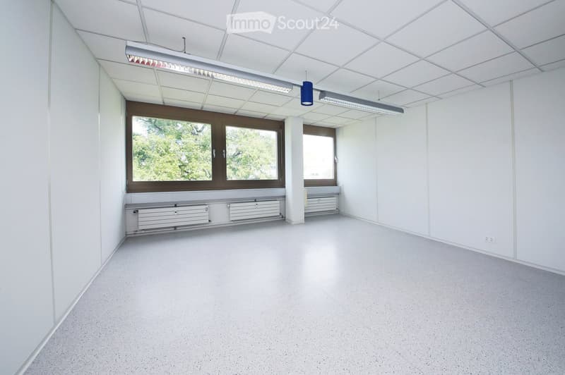 Empty room with white walls, a grey floor, large windows with brown frames, and a radiator under the windows. The ceiling has a grid pattern with recessed lighting.