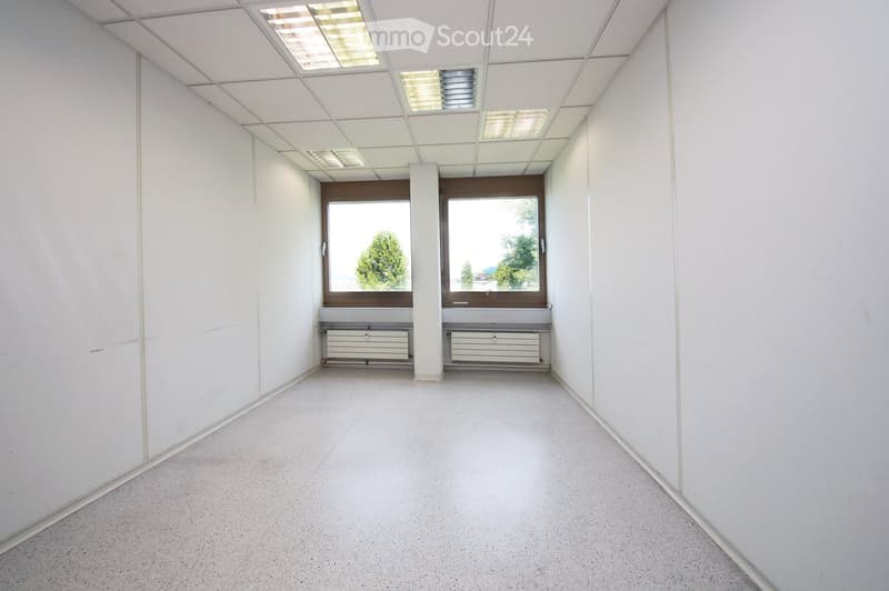 Empty room with white walls, a concrete floor, and large windows showing greenery outside. The ceiling has recessed lighting and a central column. Radiators are visible beneath the windows.