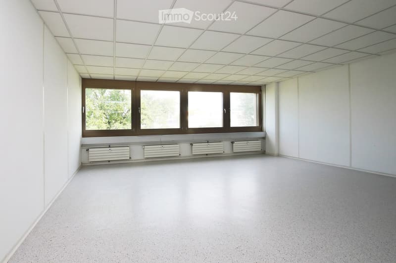 Empty room with white walls, a tiled ceiling, and large windows with brown frames. The floor is a smooth, light-colored material, and there are heating units along the base of the wall beneath the windows.
