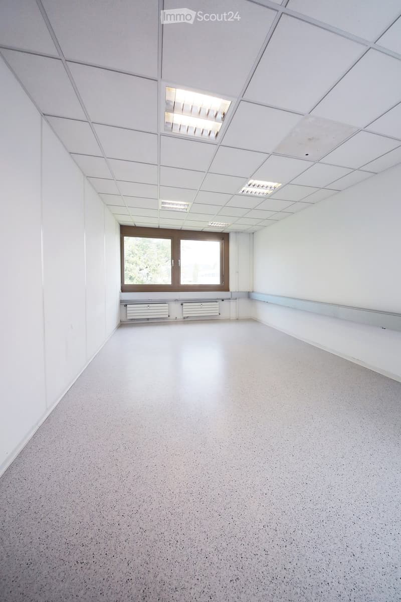 Empty room with white walls, grey carpeted floor, and a large window with brown frame. The ceiling has a grid of square tiles with integrated lighting.