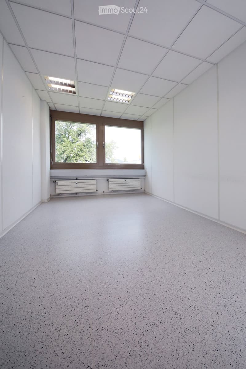 Empty room with white walls, a large window with a wooden frame, and a radiator below the window. The ceiling is white with a geometric pattern and recessed lighting.