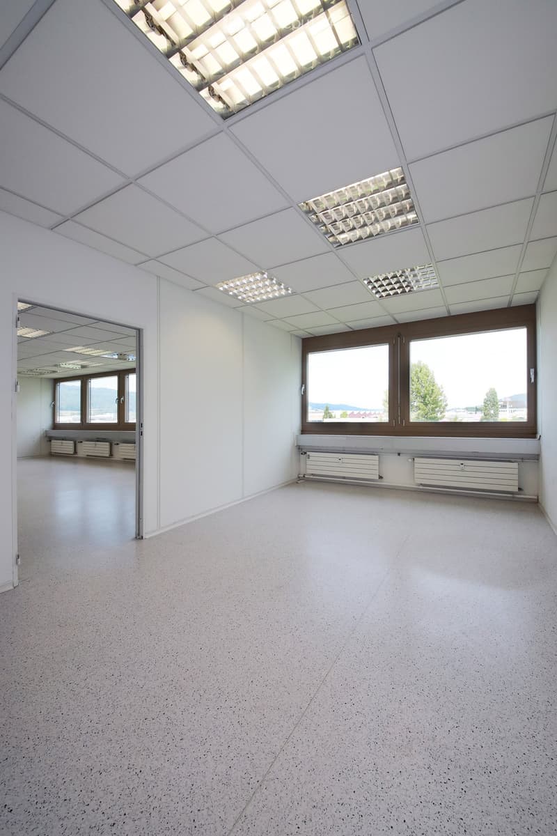 Empty room with white walls, large windows, and a modern ceiling with skylights. No furniture or equipment is present.