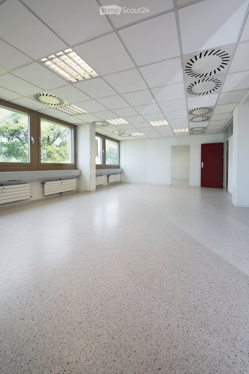 Empty room with white walls, large windows, and a smooth concrete floor. No furniture or equipment is present.