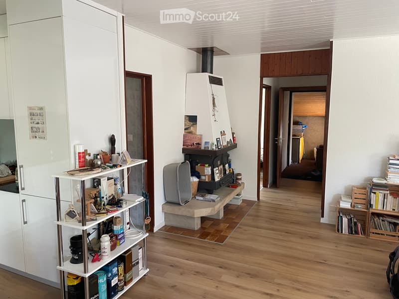 Living room with wooden flooring, fireplace, shelves, and bookshelves.