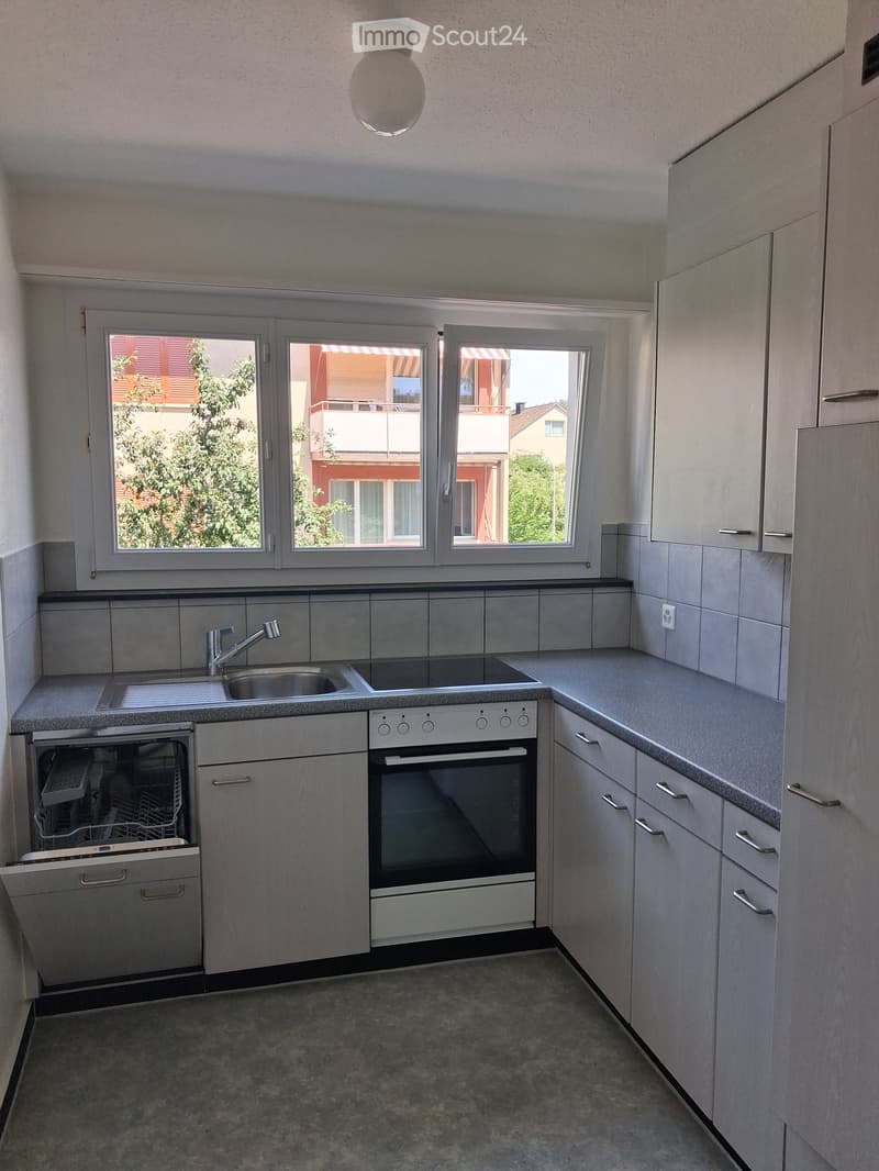 Modern kitchen with light grey cabinets, stainless steel appliances, and a window view of the outside.